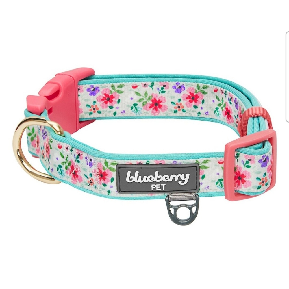 Blueberry Pet Pretty Posies Spring padded polyester dog collar. Size small.  NWT